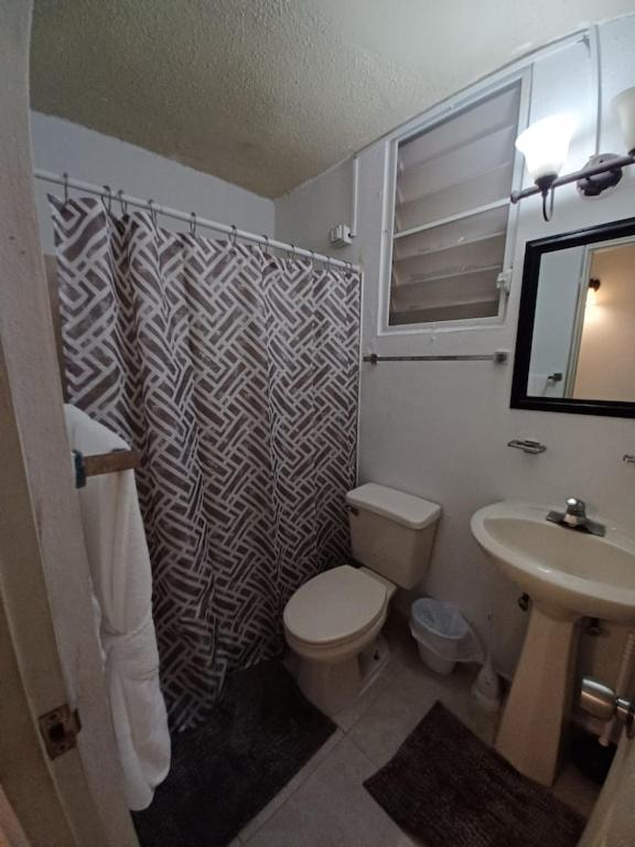 Family House Rain Forest And Beaches Pet Friendly Rio Grande Εξωτερικό φωτογραφία