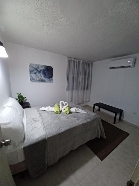 Family House Rain Forest And Beaches Pet Friendly Rio Grande Εξωτερικό φωτογραφία
